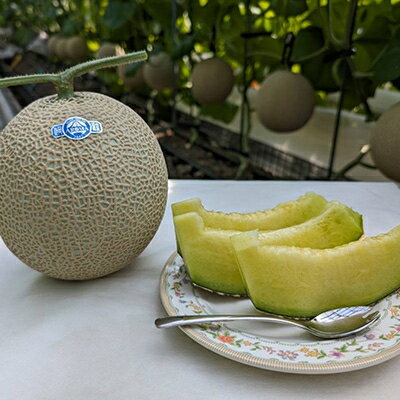 【ふるさと納税】静岡暗室マスクメロン アローマ印　　　　　山級約1.45kg以上　2玉【配送不可地域：離島・北海道・沖縄県】【1502265】 サムネイル2