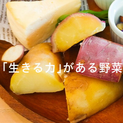 【ふるさと納税】有機ジャガイモ　栽培期間中、農薬不使用　有機JAS認証　季節限定(6,7,8月発送)　【配送不可地域：離島・北海道・沖縄県】【1568576】 - 画像2