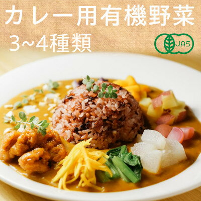 有機野菜でカレーを作ろう　カレーに使える有機野菜を3～4種類　定番野菜だからなんにでも使えます。【配送不可地域：離島・北海道・沖縄県・四国・九州】【1568592】