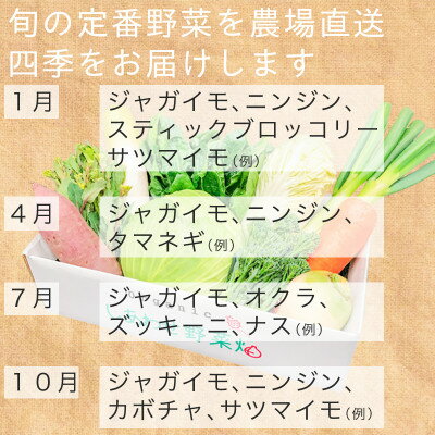 【ふるさと納税】有機野菜でカレーを作ろう　カレーに使える有機野菜を3～4種類　定番野菜だからなんにでも使えます。【配送不可地域：離島・北海道・沖縄県・四国・九州】【1568592】 - 画像3