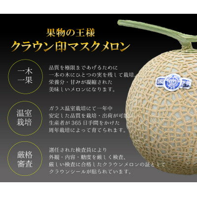【ふるさと納税】【厳選】高級クラウンマスクメロン山級　1.4kg以上×1玉入り【配送不可地域：離島・北海道・沖縄県・四国・九州】【1596790】 サムネイル2