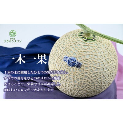 【ふるさと納税】高級クラウンマスクメロン白級　1.3kg以上×1玉入り【配送不可地域：離島・北海道・沖縄県・四国・九州】【1597049】 サムネイル2