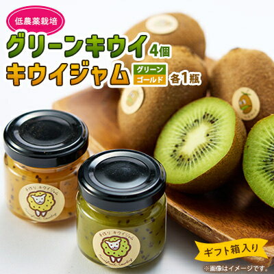 5881　キウイ&ジャム　掛川産グリーンキウイ4個・キウイジャム×2個(ギフト箱入り)【配送不可地域：離島・北海道・沖縄県・四国・九州】【1603112】