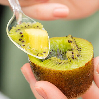 【ふるさと納税】5881　キウイ&ジャム　掛川産グリーンキウイ4個・キウイジャム×2個(ギフト箱入り)【配送不可地域：離島・北海道・沖縄県・四国・九州】【1603112】 サムネイル3