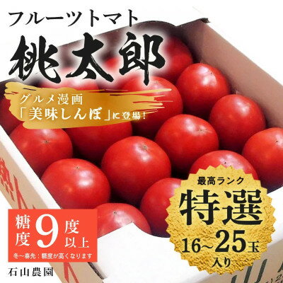 【特選】トマト 美味しんぼに登場したトマト「桃太郎」16～25玉 ランク:特選　糖度9度以上【配送不可地域：離島・沖縄県】【1604229】