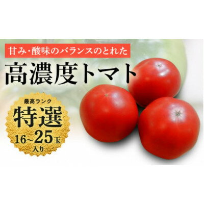 【ふるさと納税】【特選】トマト 美味しんぼに登場したトマト「桃太郎」16～25玉 ランク:特選　糖度9度以上【配送不可地域：離島・沖縄県】【1604229】 - 画像2