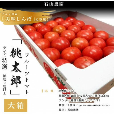 【特選】トマト 美味しんぼに登場したトマト「桃太郎」大箱 28玉～42玉　ランク:特選　糖度9度以上【配送不可地域：離島・沖縄県】【1604235】
