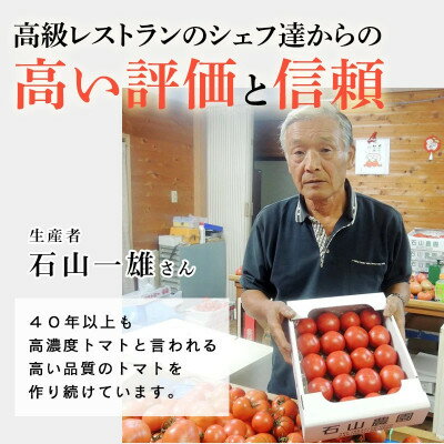 【ふるさと納税】【特選】トマト 美味しんぼに登場したトマト「桃太郎」大箱 28玉～42玉　ランク:特選　糖度9度以上【配送不可地域：離島・沖縄県】【1604235】 - 画像2