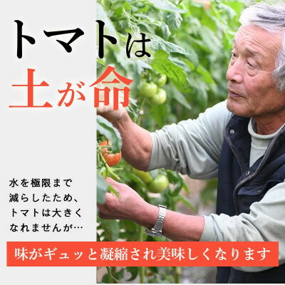 【ふるさと納税】【特選】トマト 美味しんぼに登場したトマト「桃太郎」大箱 28玉～42玉　ランク:特選　糖度9度以上【配送不可地域：離島・沖縄県】【1604235】 - 画像3