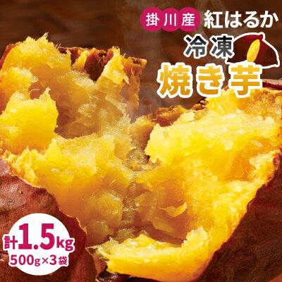 生まれも育ちも掛川産 紅はるか 冷凍焼き芋セット 500g×3袋【配送不可地域：離島・北海道・沖縄県・四国・九州】【1624952】