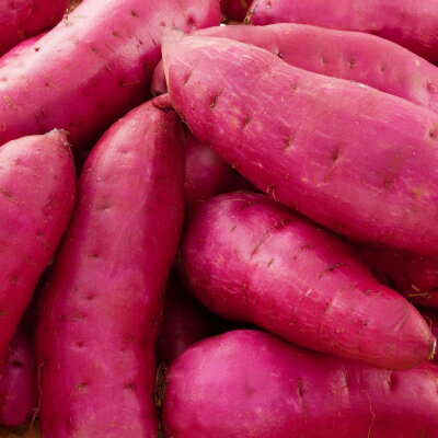 【ふるさと納税】生まれも育ちも掛川産 紅はるか 冷凍焼き芋セット 500g×3袋【配送不可地域：離島・北海道・沖縄県・四国・九州】【1624952】 - 画像3