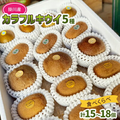 掛川産 カラフルキウイ 5種・15個～18個セット:キウイフルーツカントリーJapan　5887【配送不可地域：離島・北海道・沖縄県・四国・九州】【1652650】