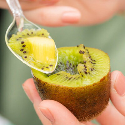 【ふるさと納税】掛川産 カラフルキウイ 5種・15個～18個セット:キウイフルーツカントリーJapan　5887【配送不可地域：離島・北海道・沖縄県・四国・九州】【1652650】 サムネイル3