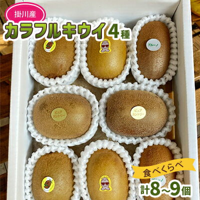掛川産カラフルキウイ4種8～9個セット期間限定 キウイフルーツカントリーJapan　5883【配送不可地域：離島・北海道・沖縄県・四国・九州】【1652671】
