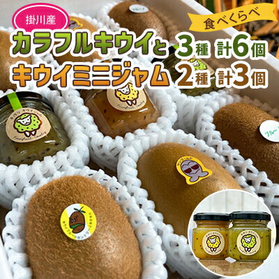 掛川産 カラフルキウイ 3種6個と キウイミニジャム 3個セット キウイフルーツカントリー　5884【配送不可地域：離島・北海道・沖縄県・四国・九州】【1652676】