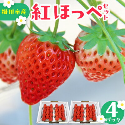 紅ほっぺセット(4パック)【配送不可地域：離島・北海道・沖縄県・四国・九州】【1676900】