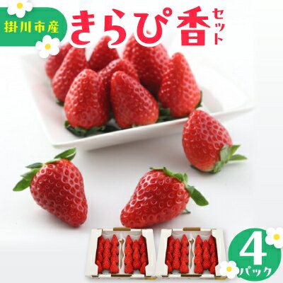 きらぴ香セット(4パック)【配送不可地域：離島・北海道・沖縄県・四国・九州】【1676905】