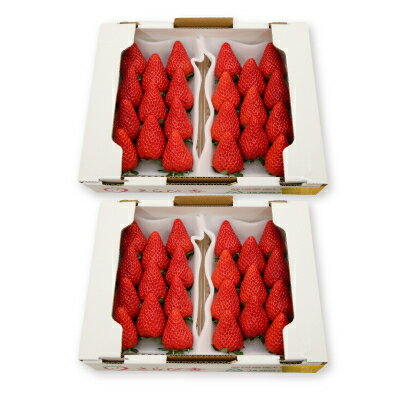 【ふるさと納税】きらぴ香セット(4パック)【配送不可地域：離島・北海道・沖縄県・四国・九州】【1676905】 サムネイル2