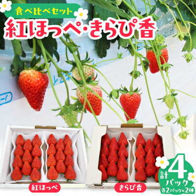 紅ほっぺ・きらぴ香食べ比べセット(各2パック　計4パック)【配送不可地域：離島・北海道・沖縄県・四国・九州】【1676911】