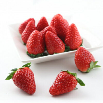 【ふるさと納税】紅ほっぺ・きらぴ香食べ比べセット(各2パック　計4パック)【配送不可地域：離島・北海道・沖縄県・四国・九州】【1676911】 サムネイル2