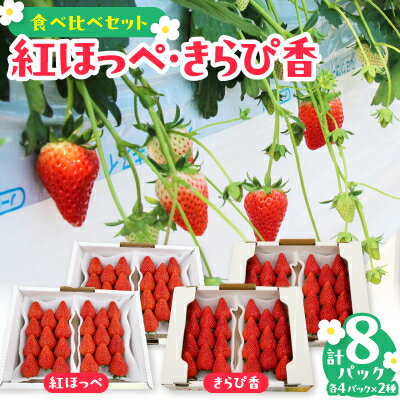 紅ほっぺ・きらぴ香食べ比べセット(各4パック　計8パック)【配送不可地域：離島・北海道・沖縄県・四国・九州】【1676919】