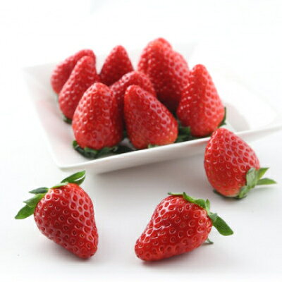 【ふるさと納税】紅ほっぺ・きらぴ香食べ比べセット(各4パック　計8パック)【配送不可地域：離島・北海道・沖縄県・四国・九州】【1676919】 サムネイル2