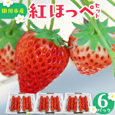 紅ほっぺセット(6パック)【配送不可地域：離島・北海道・沖縄県・四国・九州】【1676924】