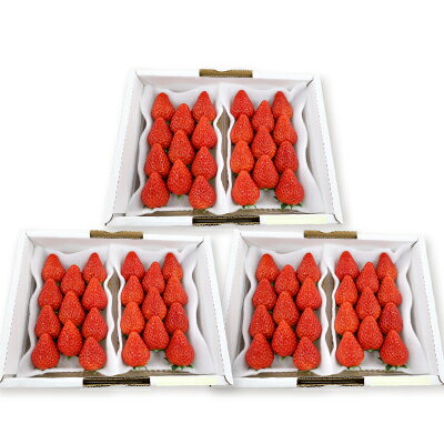 【ふるさと納税】紅ほっぺセット(6パック)【配送不可地域：離島・北海道・沖縄県・四国・九州】【1676924】 サムネイル2