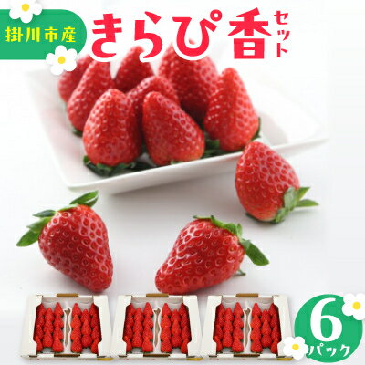 きらぴ香セット(6パック)【配送不可地域：離島・北海道・沖縄県・四国・九州】【1676945】