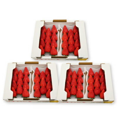 【ふるさと納税】きらぴ香セット(6パック)【配送不可地域：離島・北海道・沖縄県・四国・九州】【1676945】 サムネイル2