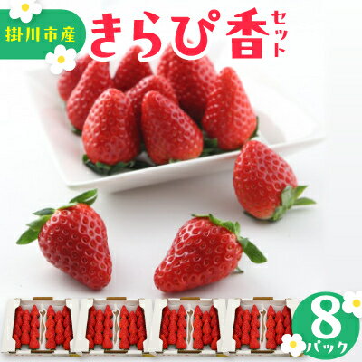 きらぴ香セット(8パック)【配送不可地域：離島・北海道・沖縄県・四国・九州】【1676948】