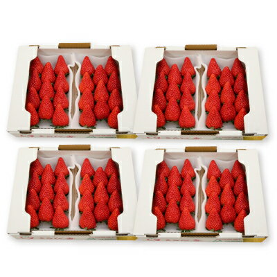 【ふるさと納税】きらぴ香セット(8パック)【配送不可地域：離島・北海道・沖縄県・四国・九州】【1676948】 サムネイル2