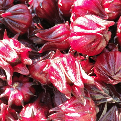 【ふるさと納税】静岡県掛川市産　ハイビスカスローゼル　約400g【配送不可地域：離島・沖縄県】【1710702】 - 画像2