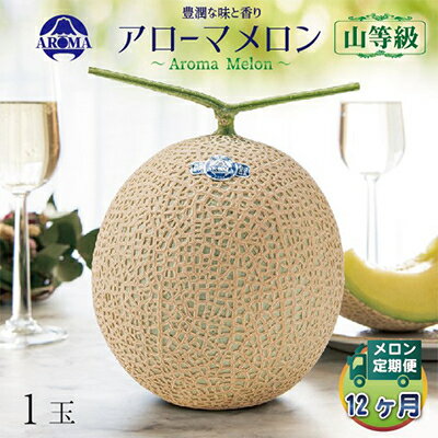 【毎月定期便】アローマメロン(山等級) 1玉 全12回【配送不可地域：離島・北海道・沖縄県】【4013000】