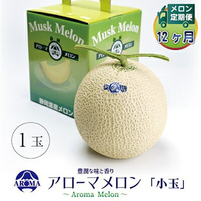 【毎月定期便】アローマメロン(小玉) 1玉 全12回【配送不可地域：離島・北海道・沖縄県】【4013009】