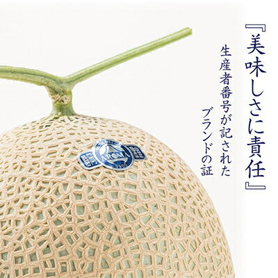 【ふるさと納税】【毎月定期便】アローマメロン(小玉) 1玉 全12回【配送不可地域：離島・北海道・沖縄県】【4013009】 サムネイル2