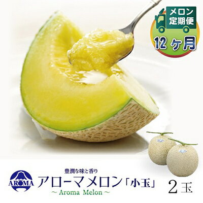 【毎月定期便】アローマメロン(小玉) 2玉 全12回【配送不可地域：離島・北海道・沖縄県】【4013012】