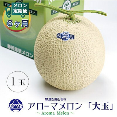 【毎月定期便】アローマメロン白等級(大玉) 1玉 全6回【配送不可地域：離島・北海道・沖縄県】【4013015】