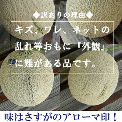 【ふるさと納税】【毎月定期便】【訳あり】アローマメロン 1玉 全6回【配送不可地域：離島・北海道・沖縄県】【4013171】 サムネイル2