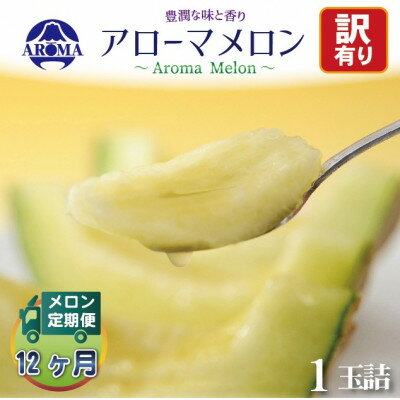 【毎月定期便】【訳あり】アローマメロン 1玉 全12回【配送不可地域：離島・北海道・沖縄県】【4013172】