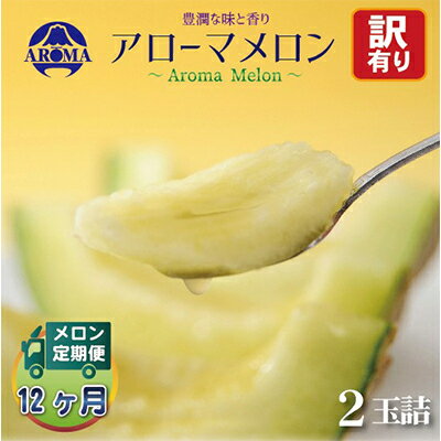 【毎月定期便】【訳あり】アローマメロン 2玉 全12回【配送不可地域：離島・北海道・沖縄県】【4013211】