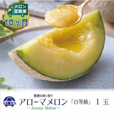 【毎月定期便】アローマメロン(白等級) 1玉　全10回【配送不可地域：離島・北海道・沖縄県】【4071979】