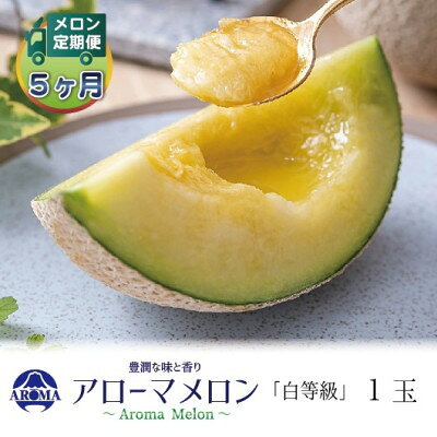 【毎月定期便】アローマメロン(白等級) 1玉　全5回【配送不可地域：離島・北海道・沖縄県】【4071993】