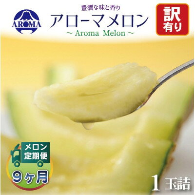 【毎月定期便】【訳あり】クラウンメロン 1玉　全9回【配送不可地域：離島・北海道・沖縄県】【4071999】