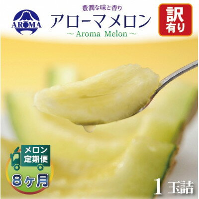 【毎月定期便】【訳あり】アローマメロン 1玉　全8回【配送不可地域：離島・北海道・沖縄県】【4072000】