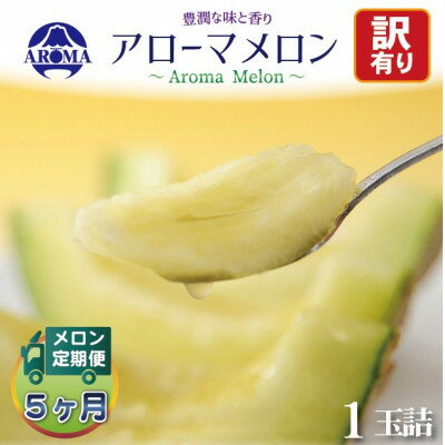 【毎月定期便】【訳あり】アローマメロン 1玉　全5回【配送不可地域：離島・北海道・沖縄県】【4072003】