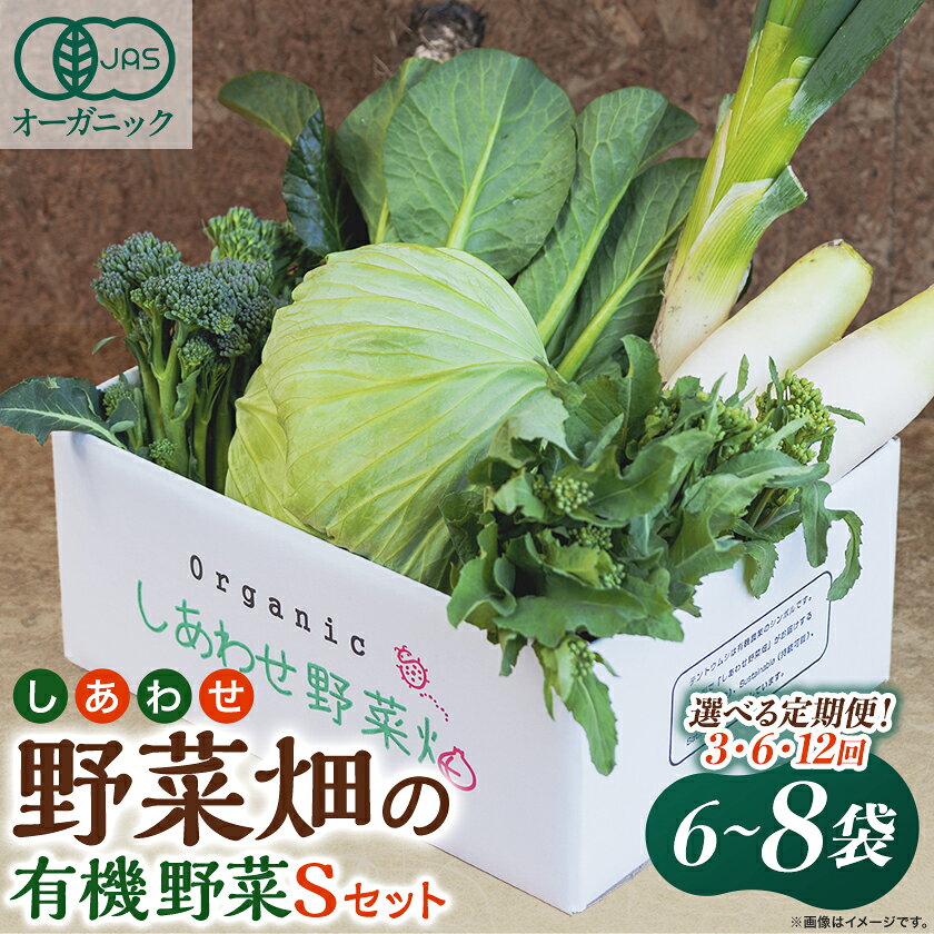 【定期便】しあわせ野菜畑の有機野菜(Sセット)3回、6回、12回(有機JAS認証　オーガニック野菜)_ 定期便 野菜 有機野菜 セット 人気 おすすめ 送料無料 冷蔵 オーガニック 有機JAS 【配送不可地域：離島・北海道・沖縄県・四国・九州】【G4065992】