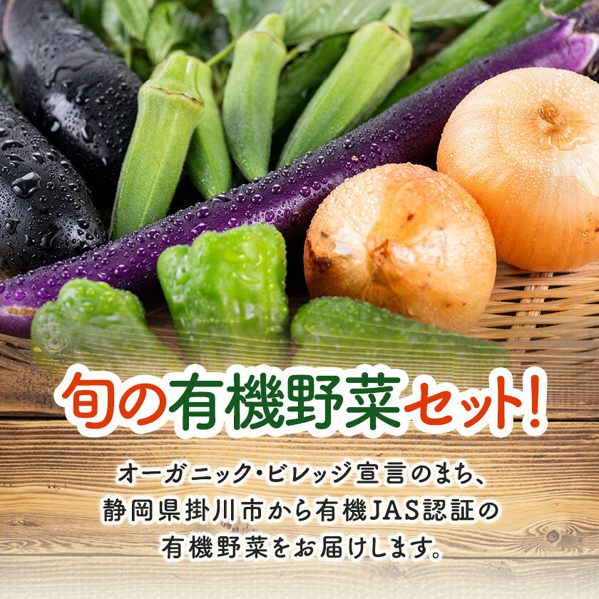 【ふるさと納税】【定期便】しあわせ野菜畑の有機野菜(Sセット)3回、6回、12回(有機JAS認証　オーガニック野菜)_ 定期便 野菜 有機野菜 セット 人気 おすすめ 送料無料 冷蔵 オーガニック 有機JAS 【配送不可地域：離島・北海道・沖縄県・四国・九州】【G4065992】 - 画像2