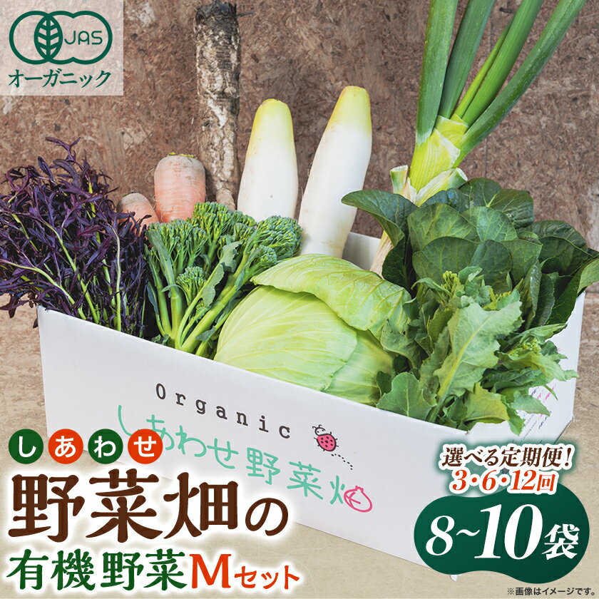 【定期便】しあわせ野菜畑の有機野菜(Mセット)3回、6回、12回(有機JAS認証　オーガニック野菜)_ 野菜 有機野菜 野菜セット オーガニック 静岡県 掛川市 【配送不可地域：離島・北海道・沖縄県・四国・九州】【G4066006】