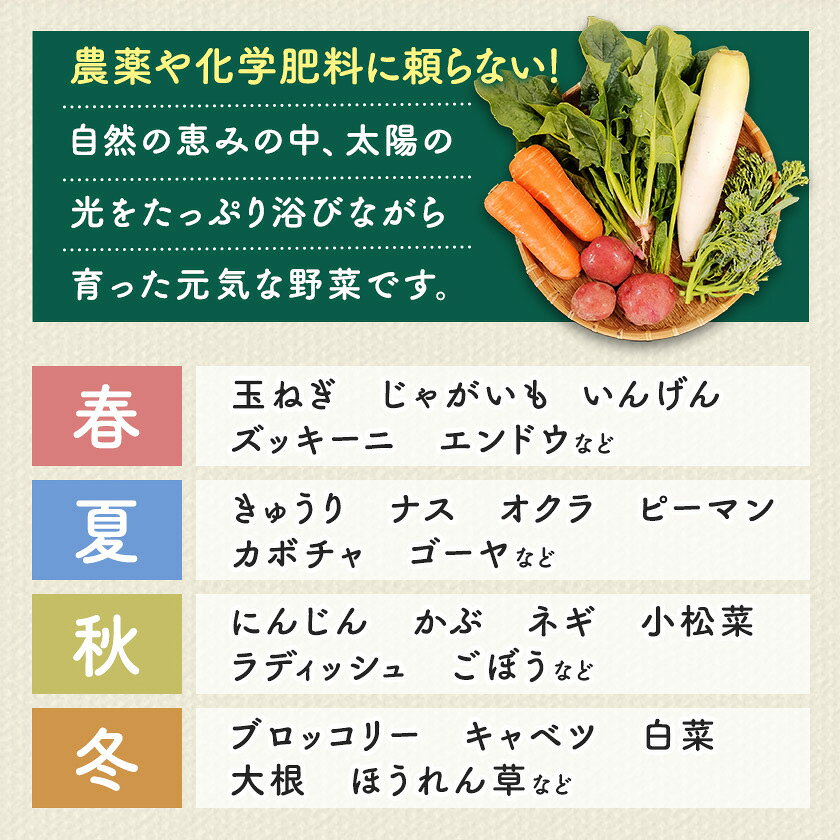 【ふるさと納税】【定期便】しあわせ野菜畑の有機野菜(Lセット)3回、6回、12回(有機JAS認証　オーガニック野菜)【配送不可地域：離島・北海道・沖縄県・四国・九州】【G4066009】 - 画像3